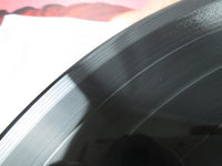 Load image into Gallery viewer, Julie Wilson My Old Flame RJL-2701 with OBI Japan LP Vinyl
