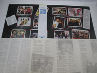 Load image into Gallery viewer, Grease 2 OST 28MW 0026 with OBI Japan LP Vinyl A
