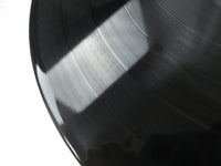 Load image into Gallery viewer, Masayoshi Takanaka Can I Sing? 28MS 0045 with OBI Pinnup Japan LP Vinyl
