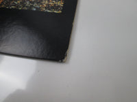 Load image into Gallery viewer, PINK FLOYD A COLLECTION OF GREAT DANCE SONGS 25AP 2260 with OBI Japan LP Vinyl

