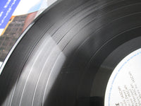 Load image into Gallery viewer, BLONDIE BEST OF CHRYSALIS WWS-90110 with OBI Japan LP Vinyl
