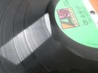 Load image into Gallery viewer, LED ZEPPELIN IV P-10125A with OBI Japan LP Vinyl
