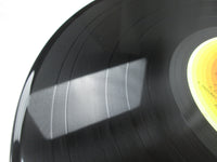 Load image into Gallery viewer, Steely Dan Pretzel Logic YQ-8025-AB with OBI Japan LP Vinyl
