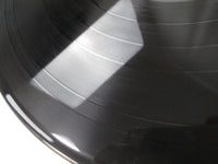 Load image into Gallery viewer, Steely Dan Pretzel Logic YQ-8025-AB with OBI Japan LP Vinyl
