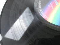 Load image into Gallery viewer, Steely Dan Aja MCA Records VIM-4039 with OBI Japan LP Vinyl
