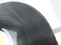 Load image into Gallery viewer, Yoninbayashi Golden Picnics SOLN-7 with OBI Japan LP Vinyl
