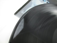 Load image into Gallery viewer, Rainbow Finyl Vinyl 29MM 4501,2 with Hype LP Vinyl
