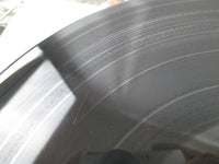 Load image into Gallery viewer, Mad Max 2 OST P-11142 with OBI Japan LP Vinyl

