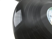 Load image into Gallery viewer, Badfinger P-8454W with OBI Japan LP Vinyl
