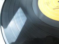 Load image into Gallery viewer, TED NUGENT Weekend Warriors 25 3P-27 with OBI Japan LP Vinyl
