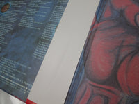 Load image into Gallery viewer, King Crimson In The Court Of The Crimson King P-10115A with OBI Japan LP Vinyl
