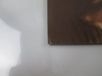 Load image into Gallery viewer, DAVID BOWIE SPACE ODDITY RCA RVP-6124 with OBI Japan LP Vinyl
