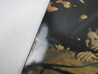 Load image into Gallery viewer, Ten Years After Rock &amp; Roll Music To The World CHR 1002 with OBI Japan LP Vinyl
