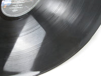 Load image into Gallery viewer, Pink Floyd A Momentary Lapse Of Reason 28AP 3405 with OBI Japan LP Vinyl
