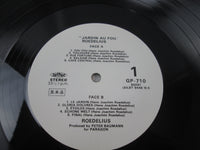 Load image into Gallery viewer, Roedelius Jardin Au Fou Promo GP-710  with OBI Japan LP Vinyl
