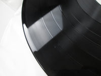 Load image into Gallery viewer, Roedelius Jardin Au Fou Promo GP-710  with OBI Japan LP Vinyl
