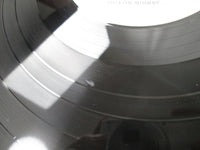 Load image into Gallery viewer, Roedelius Jardin Au Fou Promo GP-710  with OBI Japan LP Vinyl
