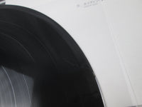 Load image into Gallery viewer, Bryan Adams Into The Fire C28Y-3166 with OBI Japan LP Vinyl
