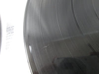 Load image into Gallery viewer, Kiss Double Platinum VIP-9549,50 with OBI Japan LP Vinyl
