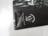 Load image into Gallery viewer, Peter Gabriel Charisma 20S-102 with OBI Japan LP Vinyl
