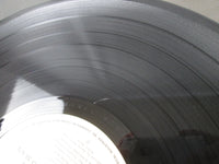 Load image into Gallery viewer, Kiss VIP-6326 with OBI Japan LP Vinyl
