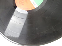 Load image into Gallery viewer, GARY NUMAN PLEASURE PRINCIPLE ATLANTIC P-10755A with OBI Japan LP Vinyl
