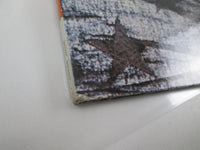 Load image into Gallery viewer, Chicago III SONP-50360,1 with OBI Poster Japan LP Vinyl
