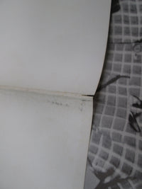 Load image into Gallery viewer, Chicago V SOPM-21 with OBI Poster Japan LP Vinyl
