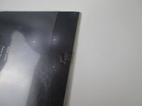 Load image into Gallery viewer, Robin Trower Long Misty Days Chrysalis CHY 1107 with OBI Japan LP Vinyl
