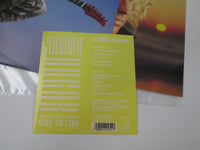 Load image into Gallery viewer, Sammy Hagar I Never Said Goodbye Geffen P-13530 with OBI Sticker Japan LP Vinyl
