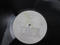 Load image into Gallery viewer, Marc Bolan The Words And Music Of Promo SP36-5210,1 with OBI Japan LP Vinyl
