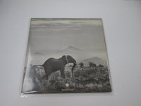 Load image into Gallery viewer, Elephant's Memory EAP-80676 with OBI Japan VINYL LP

