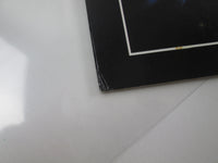 Load image into Gallery viewer, VANGELIS ALBEDO 0.39 RCA RVP-6156 with OBI Japan LP Vinyl
