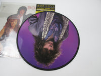 Load image into Gallery viewer, BON JOVI Slippery When Wet 830822-1 Picture Disk LP Vinyl Japan
