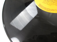 Load image into Gallery viewer, Elvis Presley ‎For LP Fans Only SHP-6096 with OBI Japan LP Vinyl
