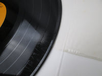 Load image into Gallery viewer, Elvis Presley ‎For LP Fans Only SHP-6096 with OBI Japan LP Vinyl
