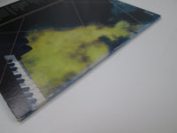 Load image into Gallery viewer, The Gregg Allman Band Playin' Up A Storm Promo VIP-6397 with OBI Japan LP Vinyl

