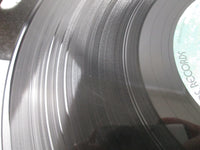 Load image into Gallery viewer, OST(WILLIAM PETER BLATTY'S) EXORCIST WARNER P-8464W-A with OBI Japan LP Vinyl
