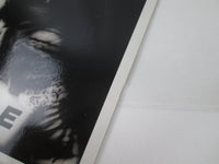Load image into Gallery viewer, White Lion Fight To Survive Victor VIL-28007 with OBI Japan LP Vinyl

