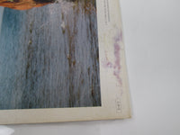 Load image into Gallery viewer, Whitney Houston 25RS-246 with OBI Japan LP Vinyl
