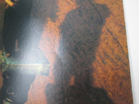Load image into Gallery viewer, Caravan 23MM 0134 with OBI Japan LP Vinyl
