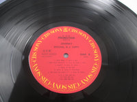 Load image into Gallery viewer, Journey Special D.J. Copy XDAP-93050 Japan LP Vinyl
