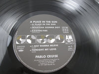 Load image into Gallery viewer, Pablo Cruise A Place In The Sun Promo C25Y 3125 with OBI Japan LP Vinyl
