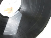 Load image into Gallery viewer, Chicago IX SOPO-115 with OBI Japan LP Vinyl
