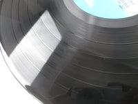 Load image into Gallery viewer, Blondie WWS-80962 with OBI Japan LP Vinyl
