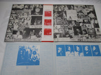 Load image into Gallery viewer, The Beach Boys 15 Big Ones P-10208R with OBI Japan LP Vinyl
