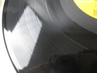 Load image into Gallery viewer, EURYTHMICS SWEET DREAMS RCA RPL-8200 with OBI Japan LP Vinyl
