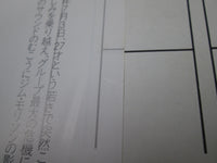 Load image into Gallery viewer, The Doors ‎Other Voices Promo P-13276 with OBI Japan LP Vinyl
