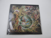 Load image into Gallery viewer, ELTON JOHN CAPTAIN FANTASTIC AND THE IFS-80217 with OBI Poster Japan LP Vinyl
