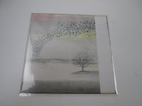 Load image into Gallery viewer, GENESIS WIND AND WUTHERING CHARISMA 20PP-71 with OBI Japan LP Vinyl

